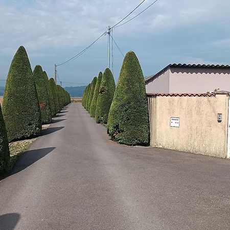 Charmante Maison Avec Piscine Anneyron Kültér fotó