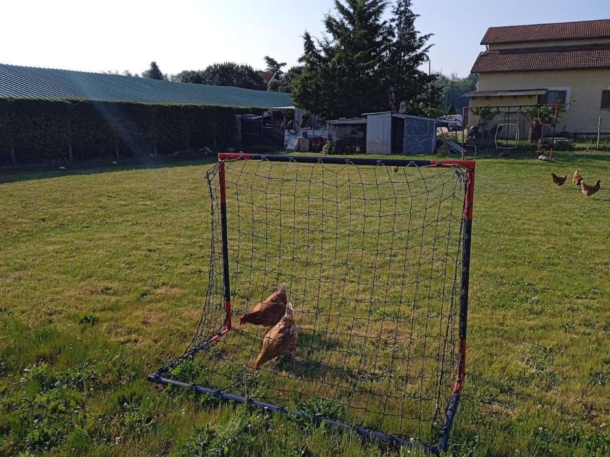 Charmante Maison Avec Piscine Anneyron Kültér fotó